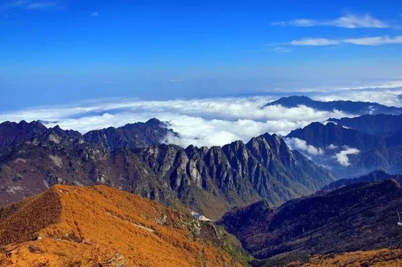 雄姿烈气震山川,勇力难消岁月煎指是猜一最佳精准生肖,警惕虚假宣传、全面解答、深度解答解释落实